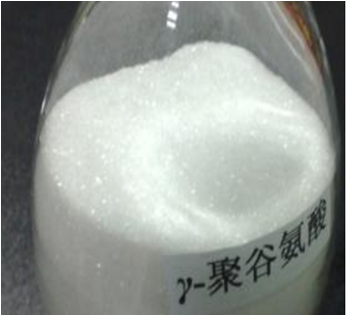 普魯蘭多糖、聚-γ-谷氨酸生產(chǎn)工藝創(chuàng  )新點(diǎn)